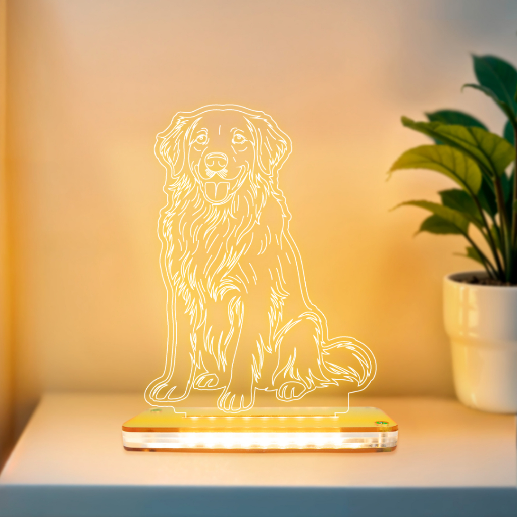 Center Pet: Guia Completo e Onde Comprar | BuscaProdutos