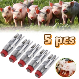 Kit 5 Bebedouro De Porco Automático Chupeta Suíno Bico Aço Inoxidável em Oferta na Shopee