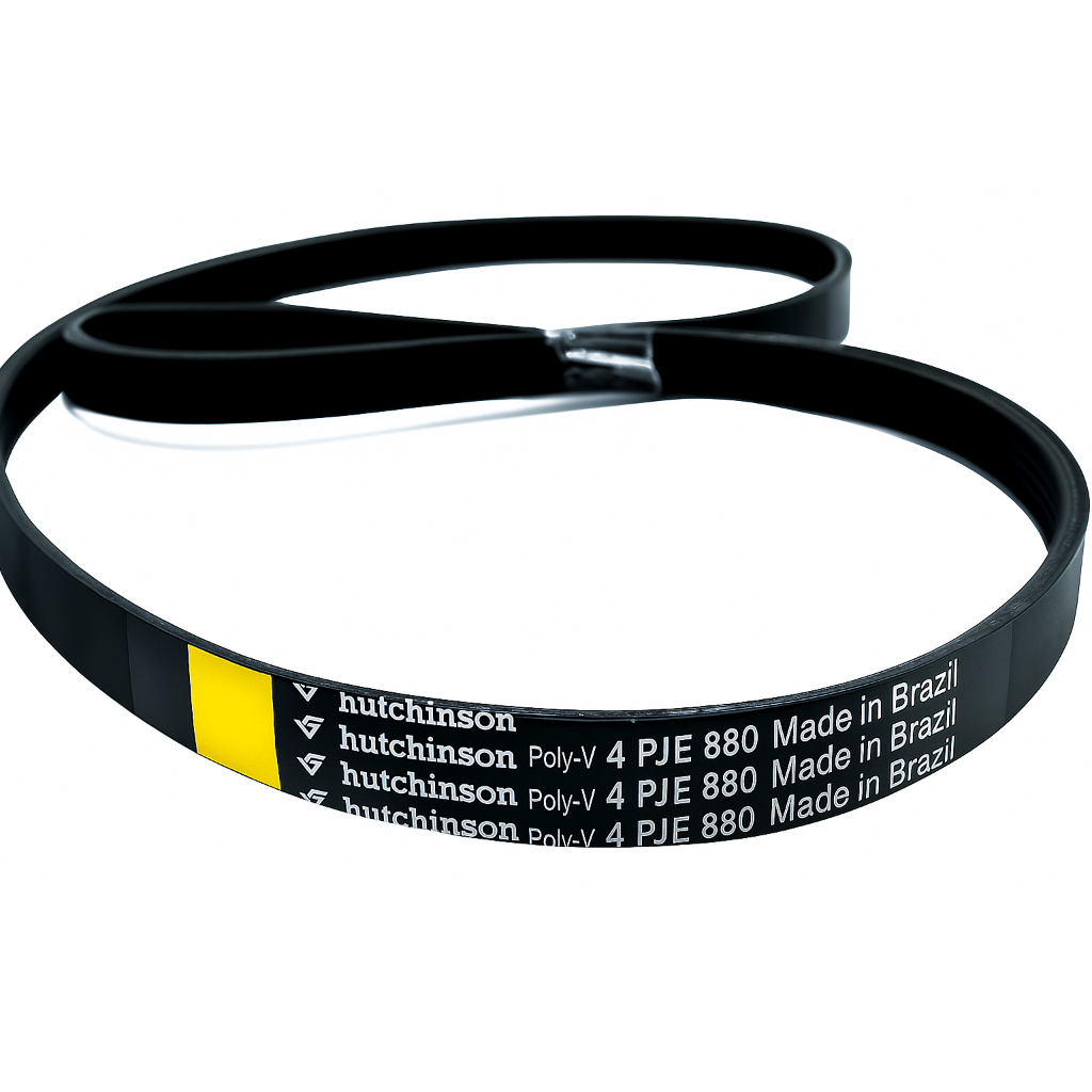 Correia Tanquinho Colormaq Para Modelo 4pje 880 Original