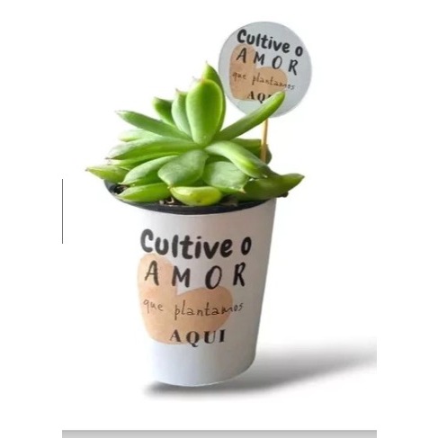 Rótulo Branco + tag Personalizada para Mini Suculentas - para casamento, aniversarios, chá de bebe, revelação.