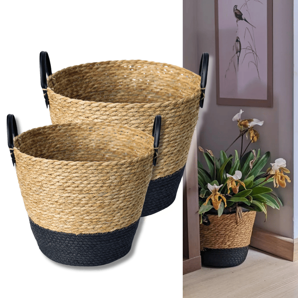 Kit 2 Cestos Decorativo Organizador Multiuso Fibra Natural Seagrass Vaso Cesta Palha
