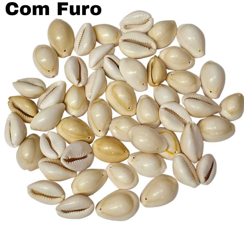 Búzio Fechado com Furo  e Sem Furo Natural Grande para Artesanato - 50 peças
