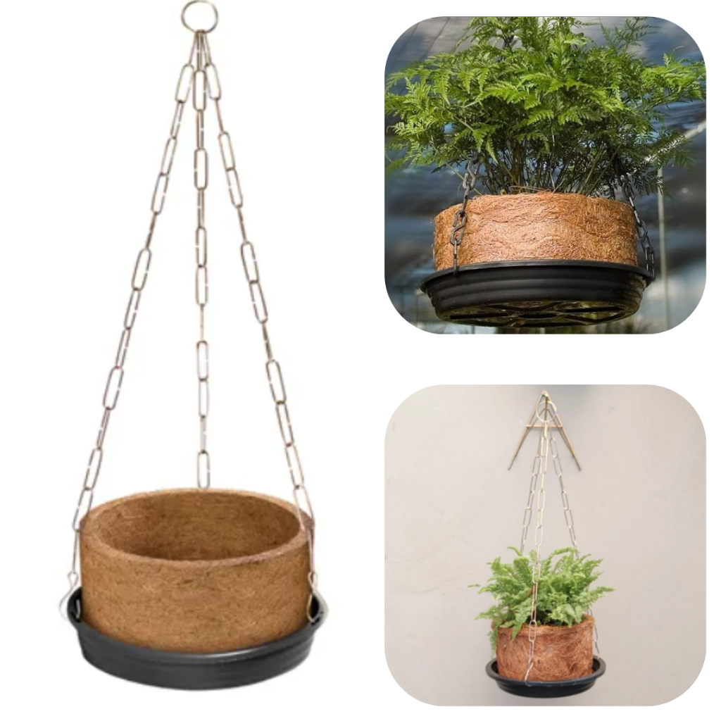 Kit Vaso Fibra de Coco Grande completo Prato, Corrente Samambaias Orquideas Plantas Xaxim Nutricoco em Oferta na Shopee