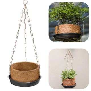 Kit Vaso Fibra de Coco Grande completo Prato, Corrente Samambaias Orquideas Plantas Xaxim Nutricoco em Oferta na Shopee