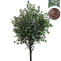 Árvore Artificial Ficus Verde Gigante Toque Real 220cm a 380cm Sem Vaso