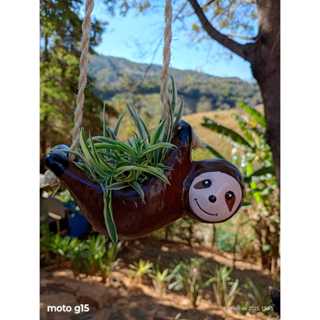 Vaso cachepô bicho preguiça para suculentas (cerâmica) não acompanha arranjos florais! em Oferta na Shopee