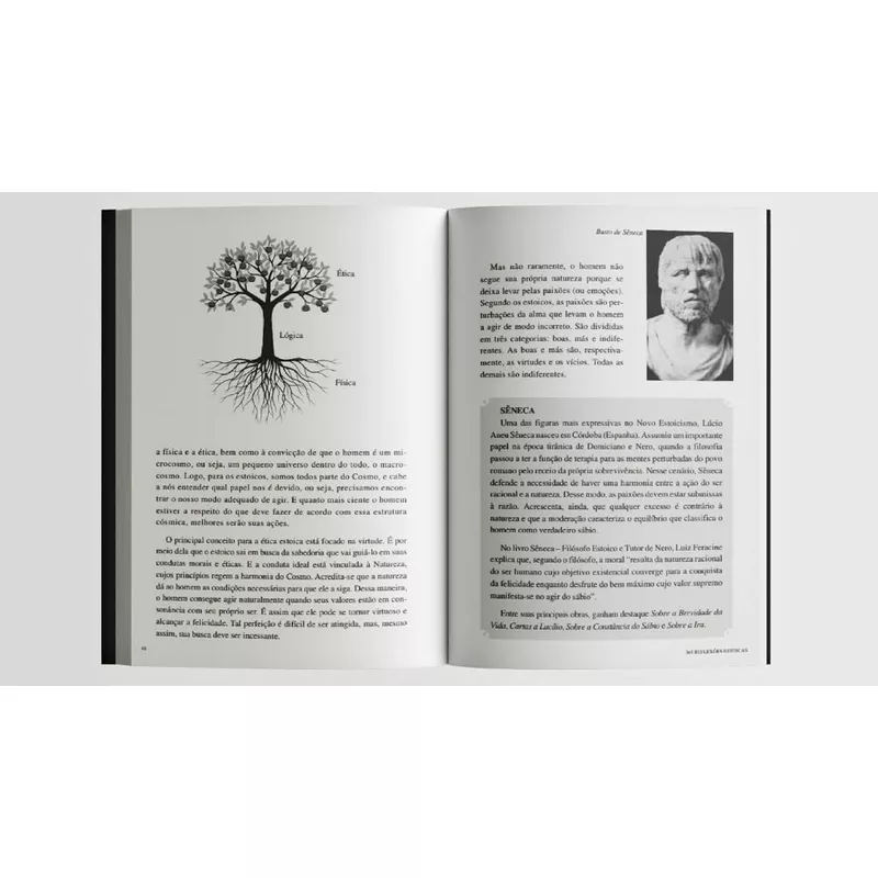 Box Biblioteca Estoica Grandes Mestres Vol 01 com 4 Livros — foto 8