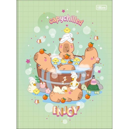 Brochura Universitário 48 Folhas: Onde Comprar | BuscaProdutos