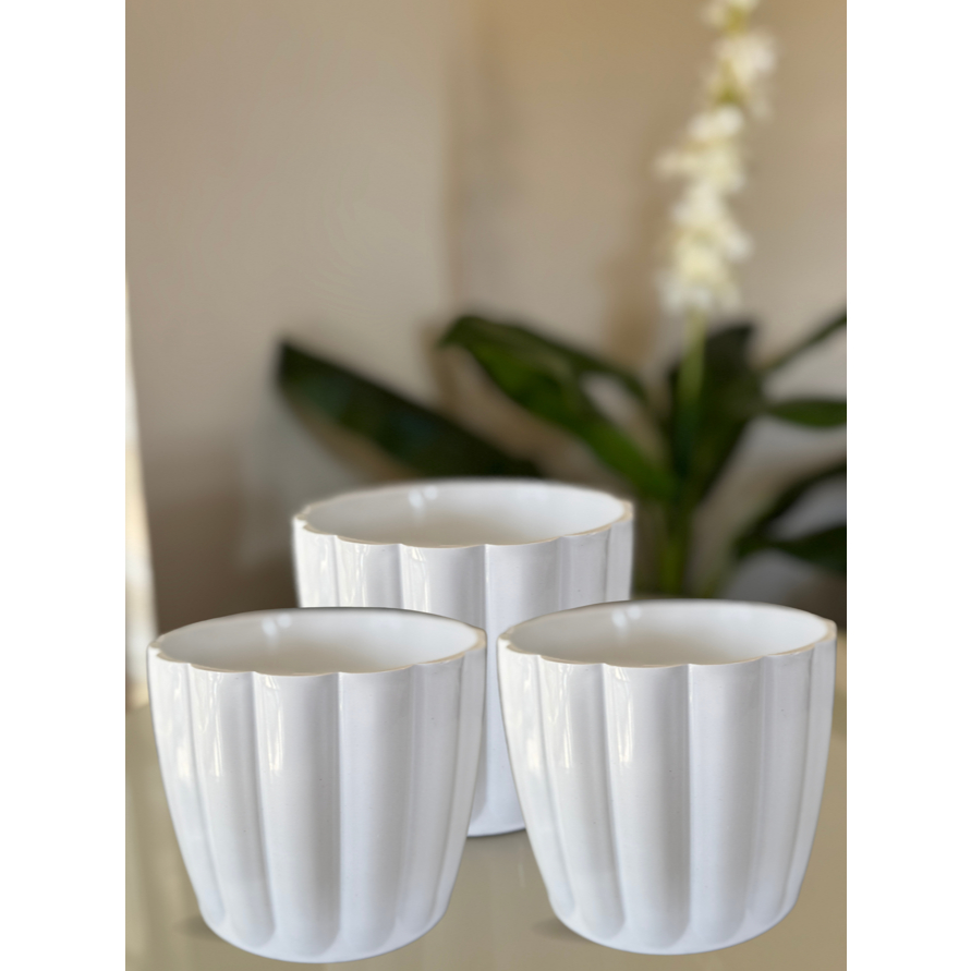 Kit Vaso Moranga Nº3 Estética Orgânica Com Formas Suaves Arredondadas da Moranga 03 unidades