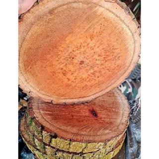 Bolacha de Mogno Africano com Madeira Rustica - 20 a 24 cm em Oferta na Shopee