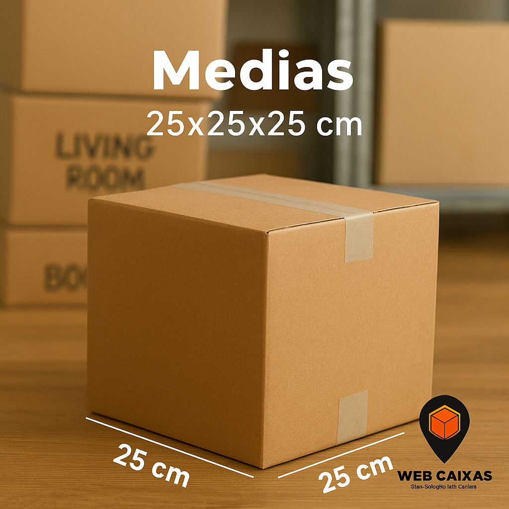 10 Caixas Papelão 25x25x25 Envio/Presente/Organização/E-commerce