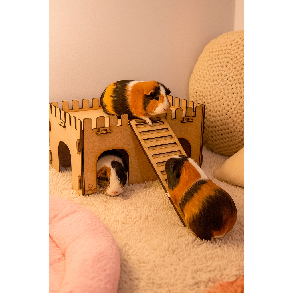 Torre Casa Casinha com Rampa Escada Para Porquinhos da India, Hamster, Coelho, Gato, Chinchila