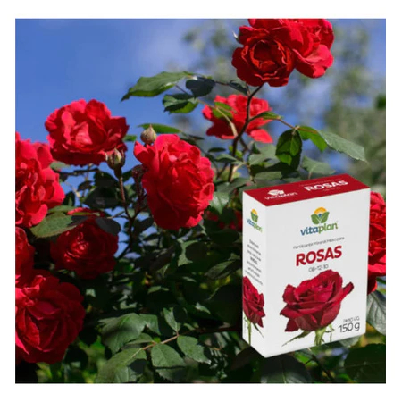 Fertilizante Adubo Rosas NPK 08-12-10 Para Rosas Vitaplan Nutriplan 150g