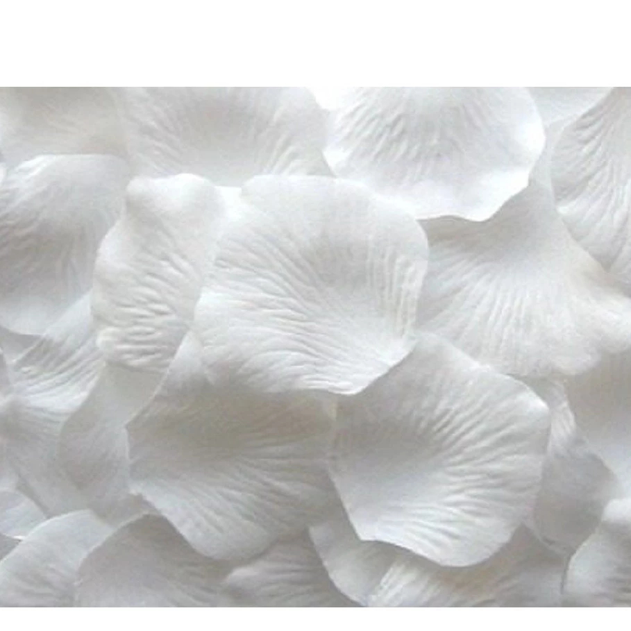 1000 Pétalas de Rosas Artificiais Brancas Decoração Casamento Festas