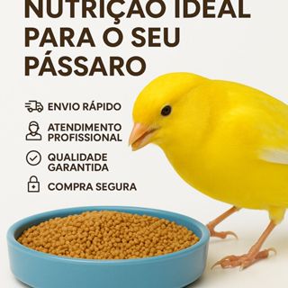 Ração Extrusada 2 kg Canários Premium Coleiro, Canário, Pintassilgo OFERTA em Oferta na Shopee