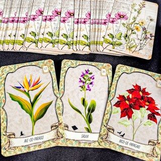 Herbário Lenormand - Baralho Cigano das Ervas Mágicas - Petit Lenorman das Ervas