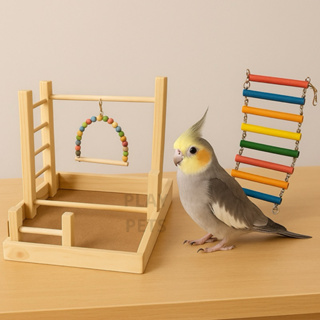 Kit Parquinho Playground G + { Ponte } Escada para Calopsita, Periquito em Oferta na Shopee