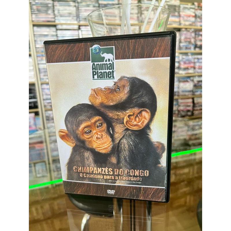DVD “Animal Planet: Chimpanzés do Congo, O Caminho Para a Liberdade”