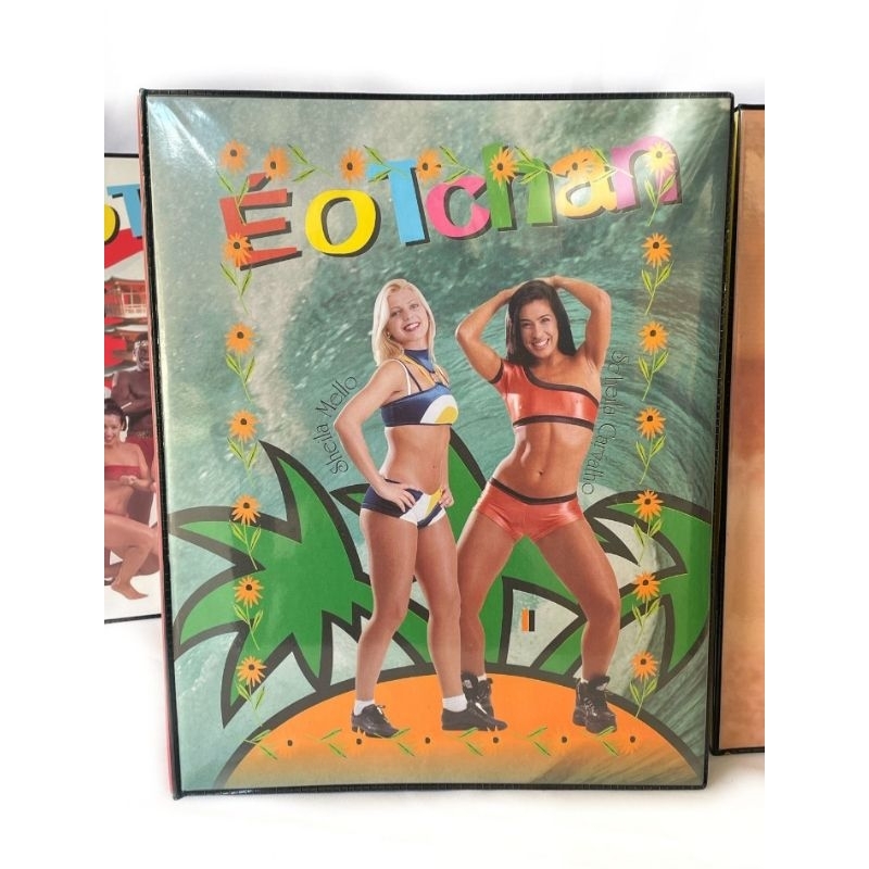Fichario OFICIAL É O TCHAN Anos 2000 Nostalgia Escolar Argola