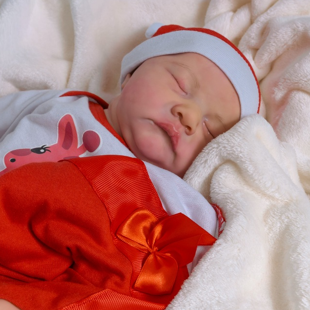 Bebê Reborn Boneca Realista  Pode Dar Banho Envio Imediato