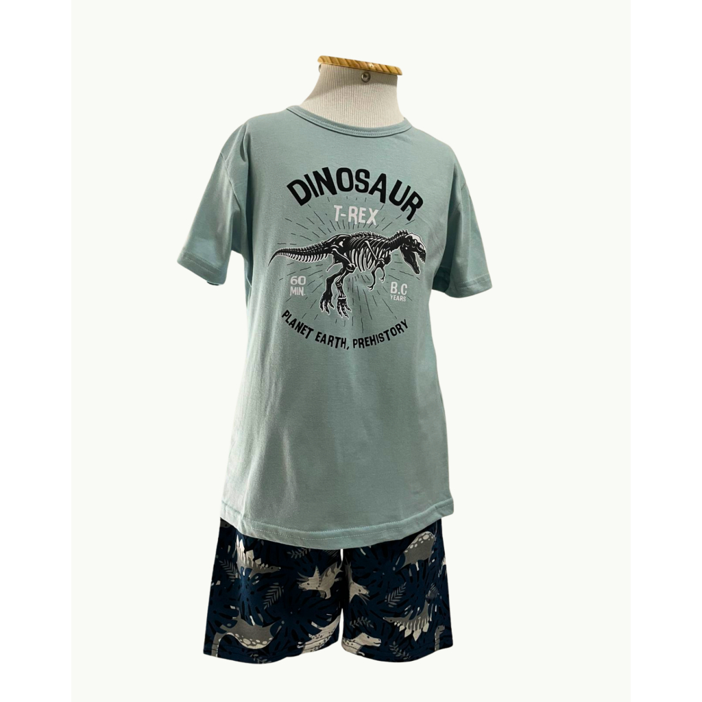 Conjunto Infantil Menino – Camiseta + Bermuda Estilosa | Look Completo Tamanho 6
