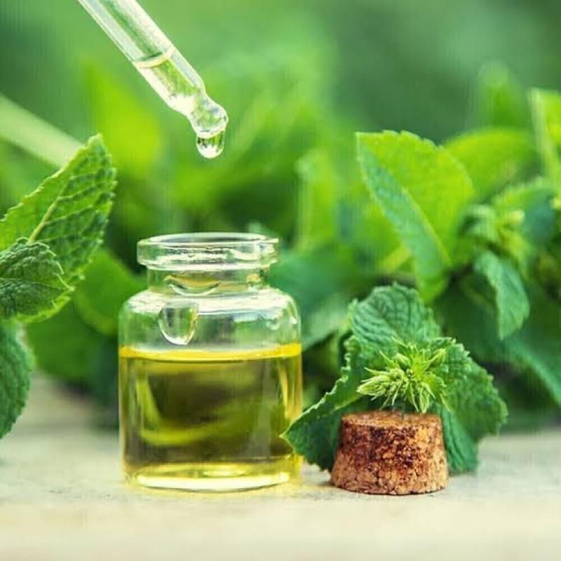 Kit C/6 Óleo de Menta Peperita 10ml | Natural | Bem-estar e Alívio Diário — imagem 2 de 2