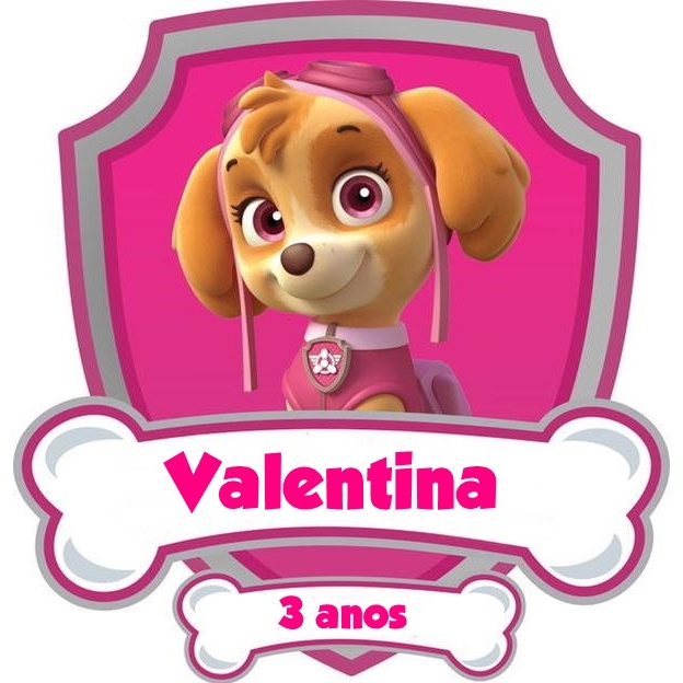aplique para centro de mesa skye patrulha canina