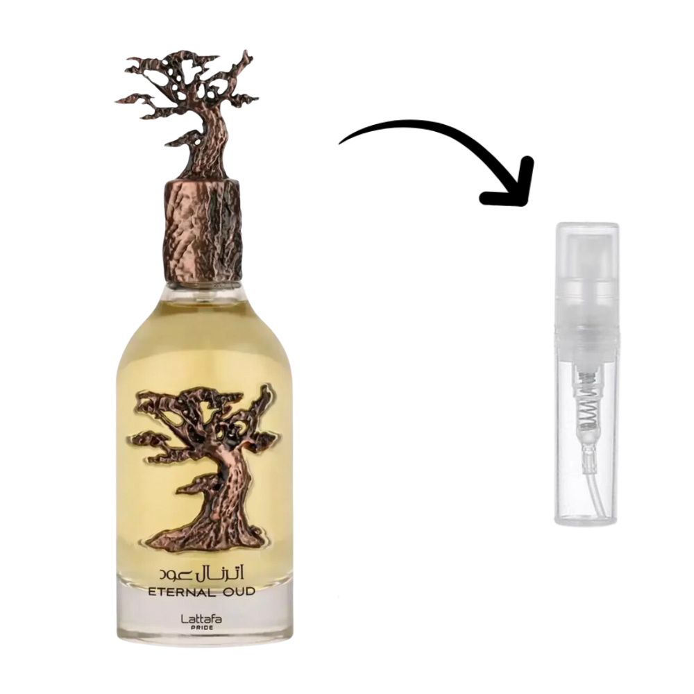 Perfume Eternal Oud: Onde Comprar | BuscaProdutos