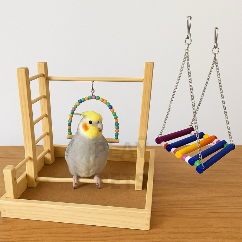 Kit Parquinho Playground G e Balanço Colorido (CORRENTE) para Calopsita, Periquito em Oferta na Shopee