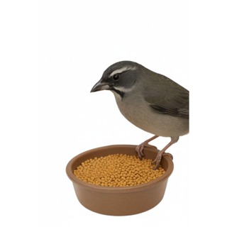 Ração Extrusada 5 kg Premium p TRINCA FERRO (PASSAROS DE MEDIO PORTE) PREMIUM em Oferta na Shopee