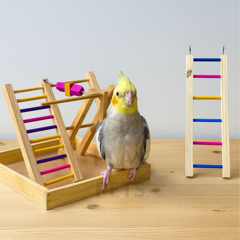 KIT Brinquedo Playground Para Calopsita, Periquito + Ponte Escada 40CM em Oferta na Shopee