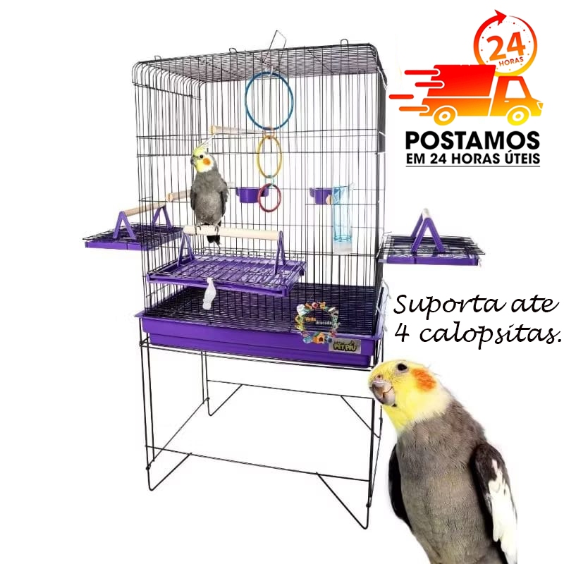 Viveiro Grande Gaiola Aberta Para Calopsita Triplex Para Calopsitas Ring Neck Ave Mansas Pássaros Livres Poleiro Madeira