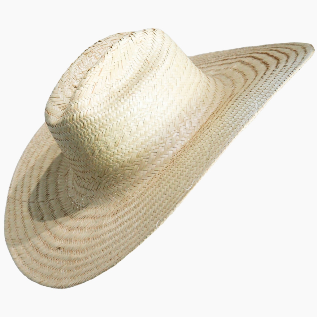 Chapéu De Palha Country Cowboy Pantaneiro Estilo Vaqueiro Rodeio Sertanejo Aba Curva Kit Oferta