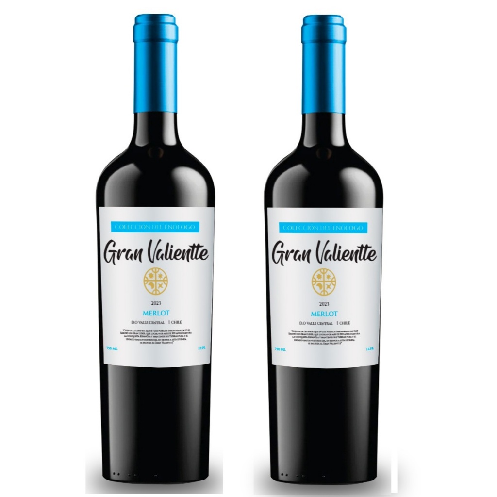 Kit 02 und Vinho Chileno Fino Seco Gran Valientte Merlot 750 ml Selecion Enologo