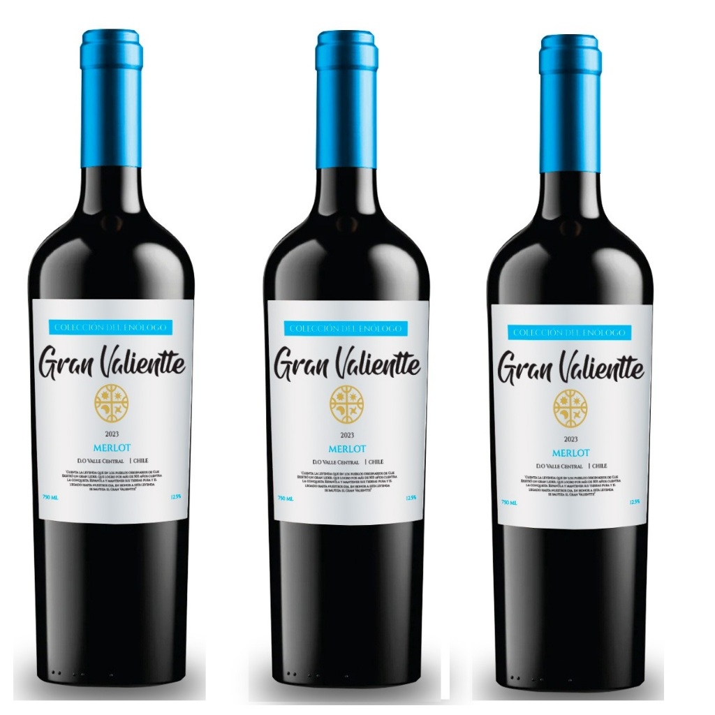 Kit 03 und Vinho Chileno Fino Seco Gran Valientte Merlot 750 ml Selecion Enologo em Oferta na Shopee