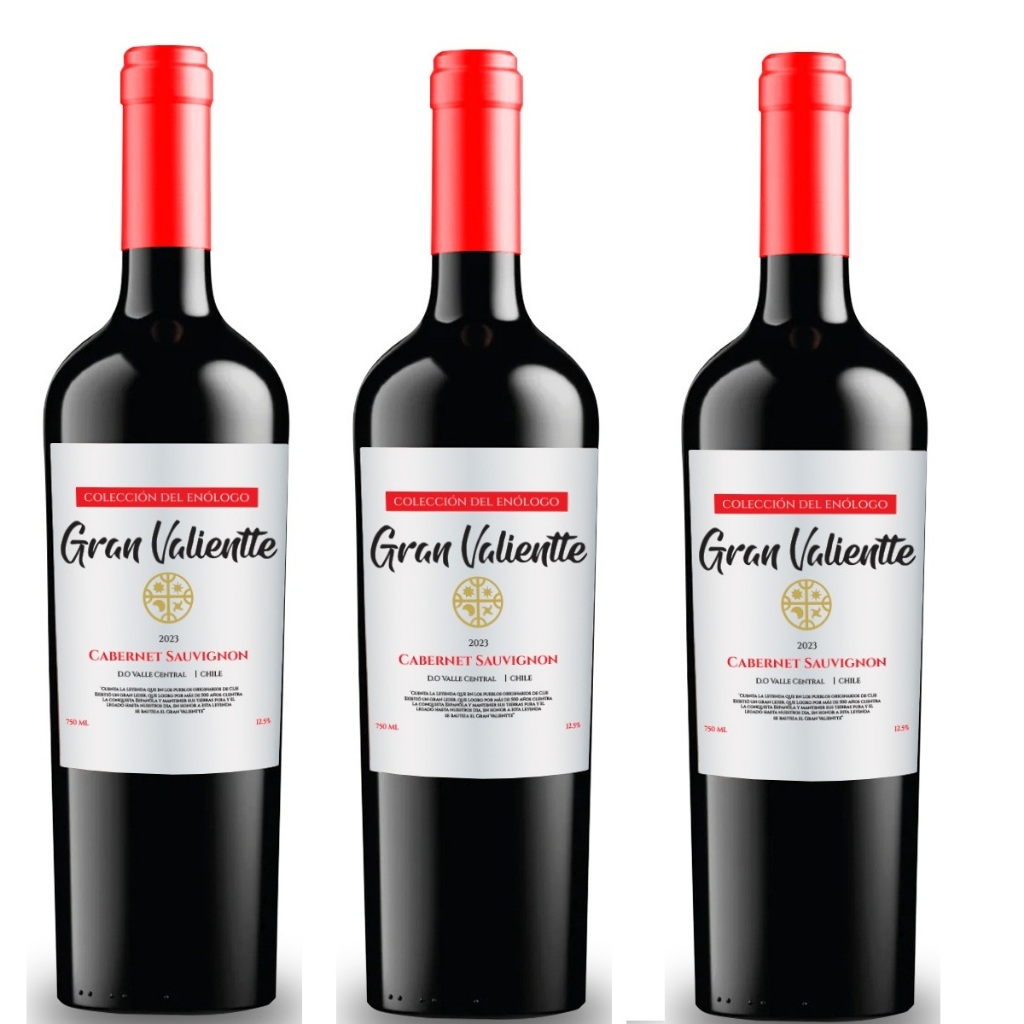 Kit 03 Vinho Chileno Fino Seco Gran Valientte Cabernet Sauvgnion 750 ml Selecion Enologo
