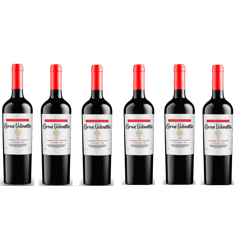 Kit 06 Vinho Chileno Fino Seco Gran Valientte Cabernet Sauvgnion 750 ml Selecion Enologo em Oferta na Shopee
