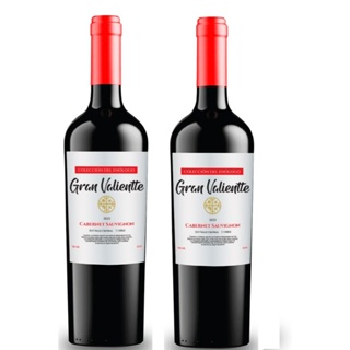 Kit 02 Vinho Chileno Fino Seco Gran Valientte Cabernet Sauvgnion 750 ml Selecion Enologo em Oferta na Shopee