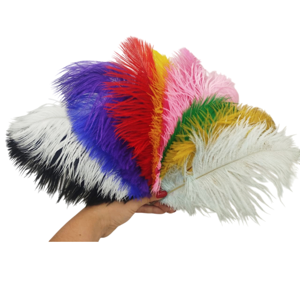 PLUMA NATURAL DE AVESTRUZ 25-30 CM - KIT C/ 12 UNID. - CORES