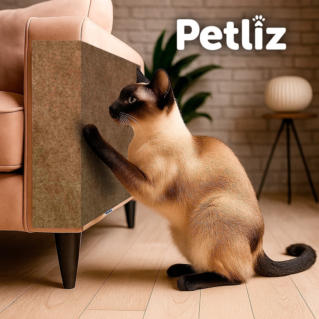 Arranhador Carpete Adesivo 50x30cm p/ Gato Protetor Porta Canto Sofá Parede Cama - Petliz