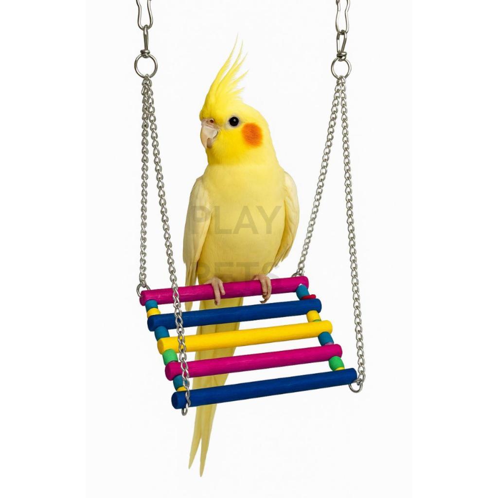 Balanço CORRENTE Colorido, Para Calopsita, Periquito, Aves em Oferta na Shopee