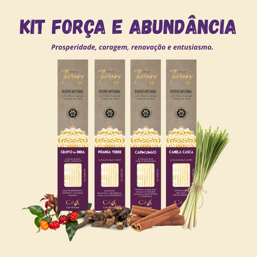 Kit com 4 Incensos Naturais CdA Cia de Aroma - Canela, Cravo, Capim Limão e Pitanga em Oferta na Shopee