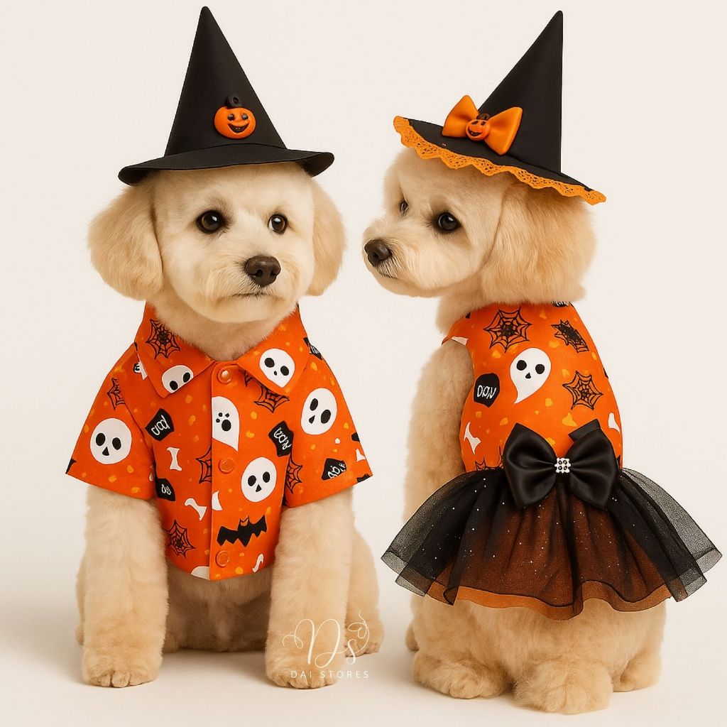 Fantasia Pet Halloween Dia Das Bruxas Roupinha com chapéu para Gato Cachorro Macho e fêmea