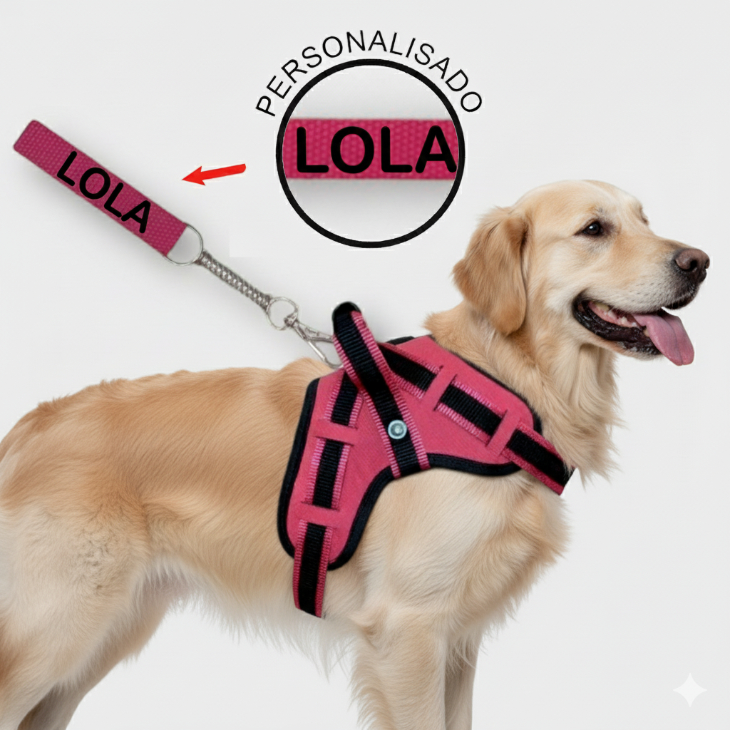 Coleira peitoral para cachorro reforçada com nome na guia cachorro de pequeno mdio e grande porte para passeios com mola