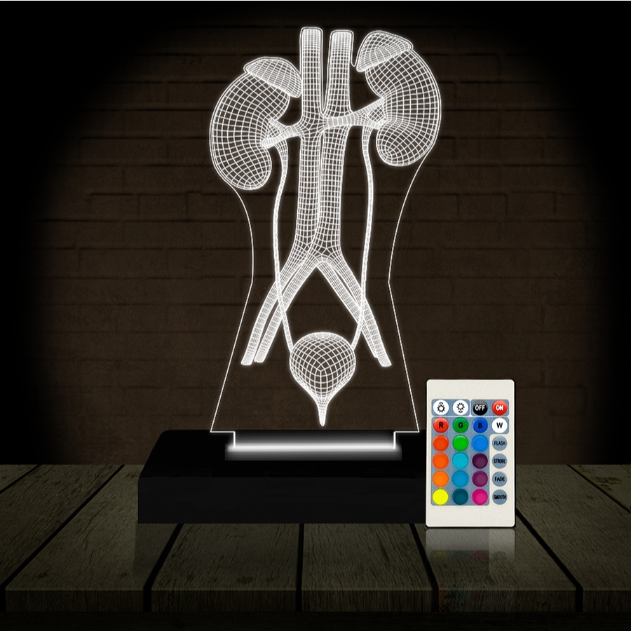 Médico Urologista: Onde Comprar | BuscaProdutos