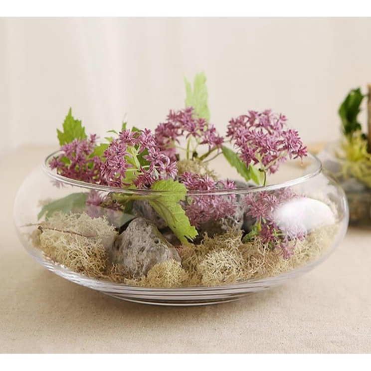 Vaso Terrario de Vidro Grande para Suculentas Aquário Decorativo Plantas Decoração