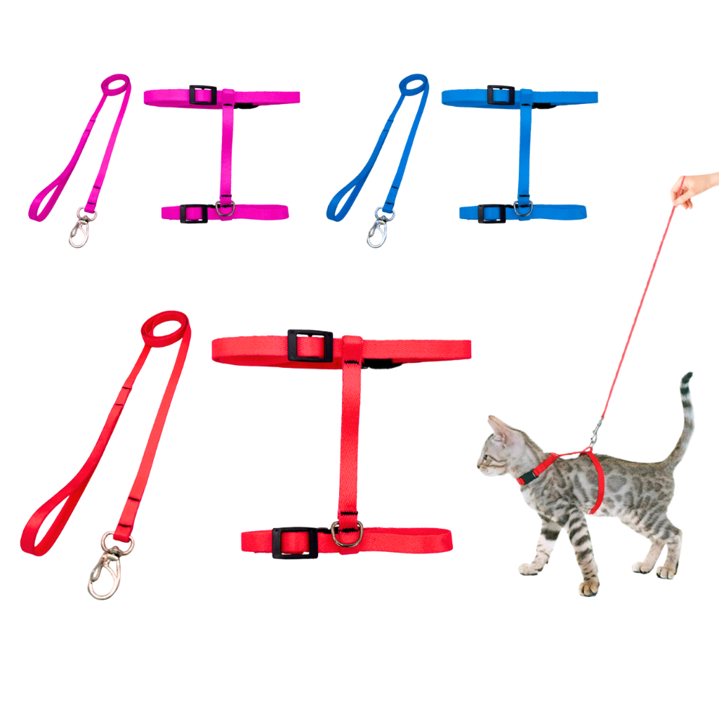 Peitoral gato coleira guia passeio passear ajuste tamanho todos os portes adestramento adestrar