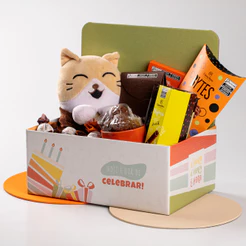 Caixa Display Para Cestas e Presentes Coleção Aniversário — Celebrar (03 unidades)