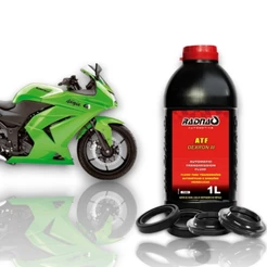 Retentor Bengala + Guarda Pó + Óleo Atf Kawasaki Ninja250
