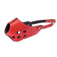 Focinheira de Couro Pit Bull 🐶 | Resistente e Segura | Tamanhos P / M / G